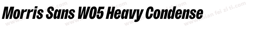 Morris Sans W05 Heavy Condensed字体转换